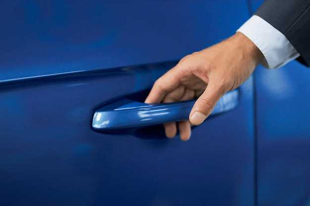 Проверка состояния дверной обшивки