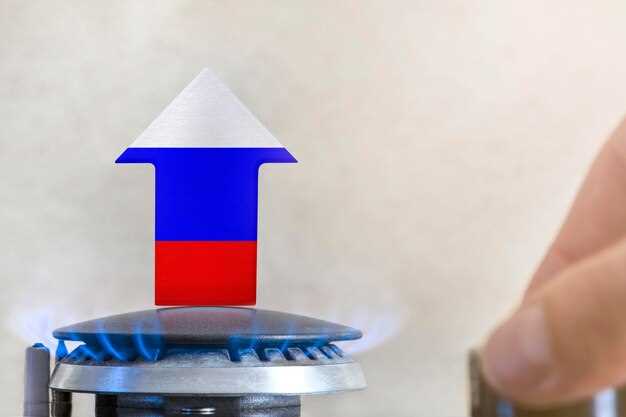 Особенности монтажа и подключения к системам газораспределения