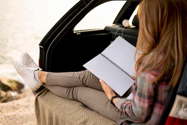 На сиденье заднего ряда