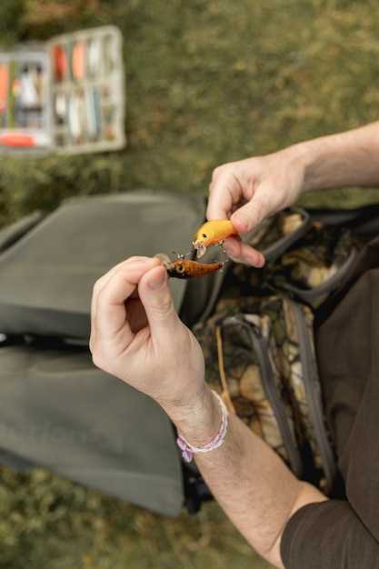 Общие сведения о предохранителе сигнала