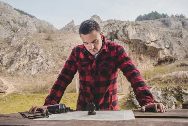 Подключение и совместимость с другими устройствами